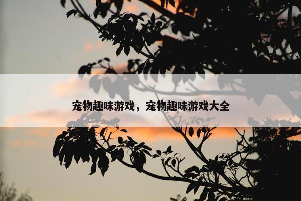 宠物趣味游戏，宠物趣味游戏大全