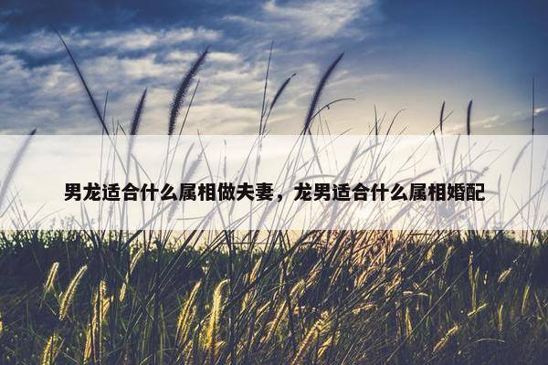男龙适合什么属相做夫妻，龙男适合什么属相婚配