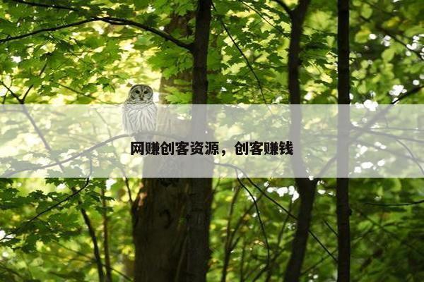 网赚创客资源，创客赚钱