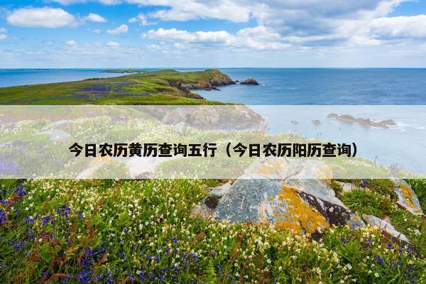 今日农历黄历查询五行（今日农历阳历查询）