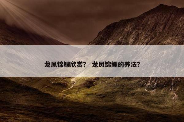 龙凤锦鲤欣赏？ 龙凤锦鲤的养法？
