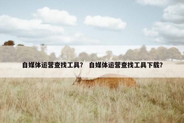 自媒体运营查找工具？ 自媒体运营查找工具下载？