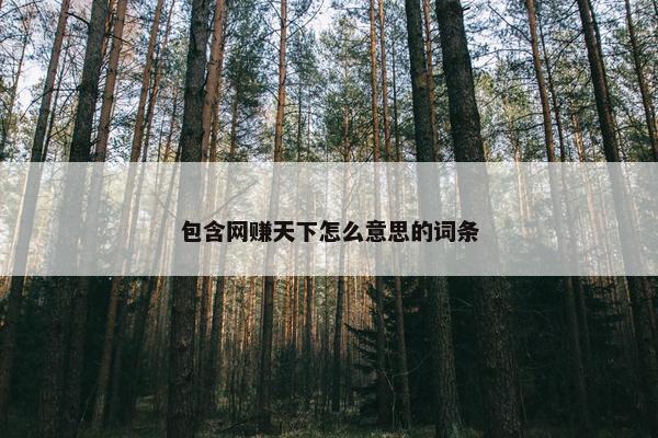 包含网赚天下怎么意思的词条