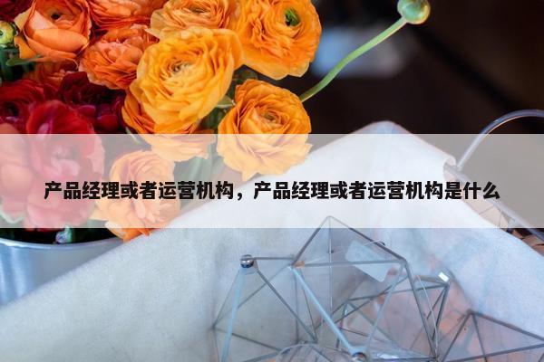 产品经理或者运营机构，产品经理或者运营机构是什么