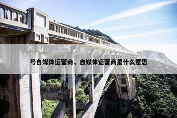 号自媒体运营商，自媒体运营商是什么意思