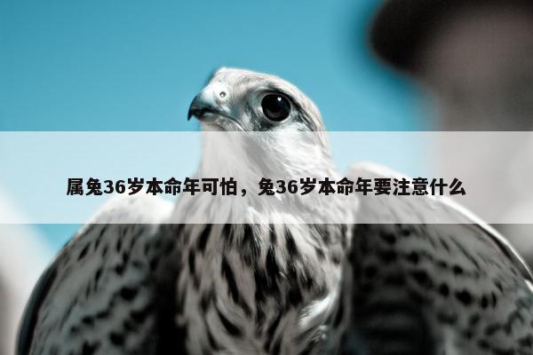 属兔36岁本命年可怕，兔36岁本命年要注意什么
