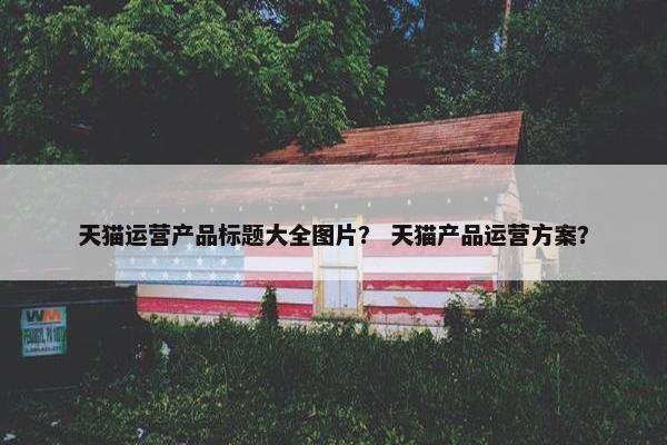 天猫运营产品标题大全图片？ 天猫产品运营方案？