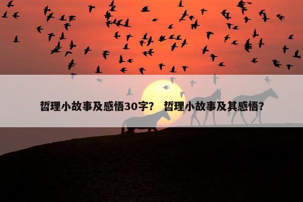 哲理小故事及感悟30字？ 哲理小故事及其感悟？