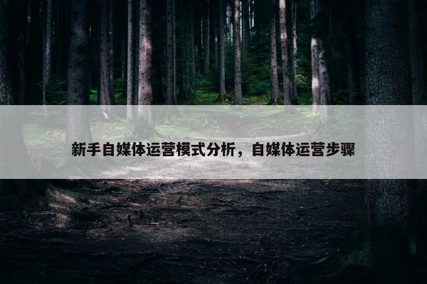 新手自媒体运营模式分析，自媒体运营步骤