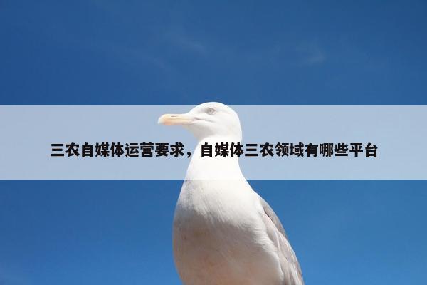 三农自媒体运营要求，自媒体三农领域有哪些平台