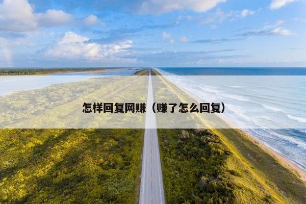 怎样回复网赚（赚了怎么回复）