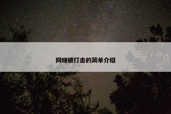 网赚被打击的简单介绍