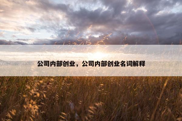 公司内部创业，公司内部创业名词解释