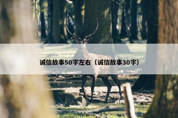 诚信故事50字左右（诚信故事30字）