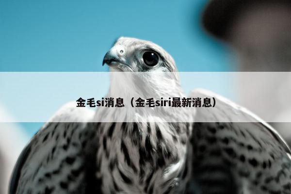 金毛si消息（金毛siri最新消息）