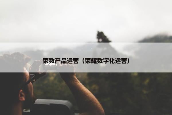 荣数产品运营（荣耀数字化运营）