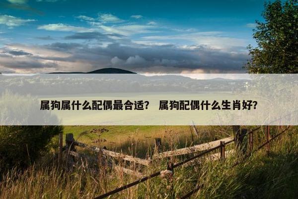 属狗属什么配偶最合适？ 属狗配偶什么生肖好？