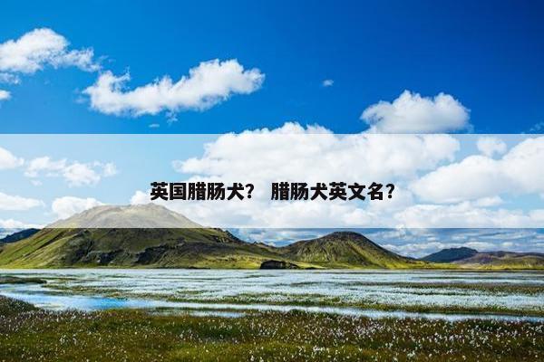英国腊肠犬？ 腊肠犬英文名？