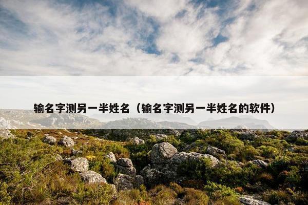 输名字测另一半姓名（输名字测另一半姓名的软件）