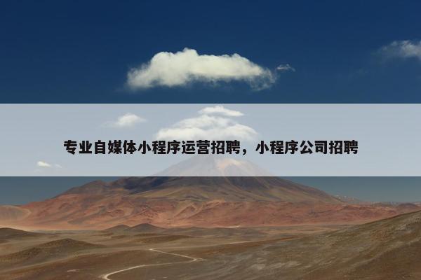 专业自媒体小程序运营招聘，小程序公司招聘
