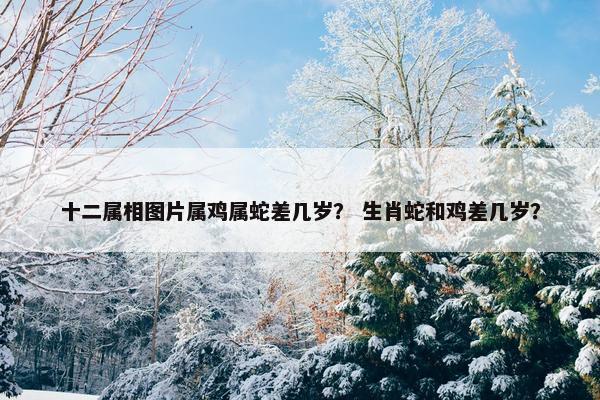 十二属相图片属鸡属蛇差几岁？ 生肖蛇和鸡差几岁？