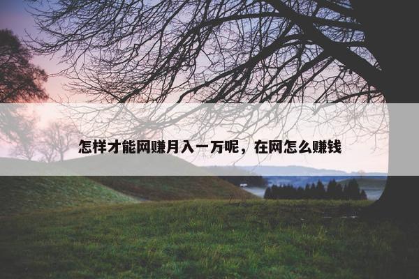 怎样才能网赚月入一万呢，在网怎么赚钱