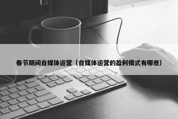 春节期间自媒体运营（自媒体运营的盈利模式有哪些）