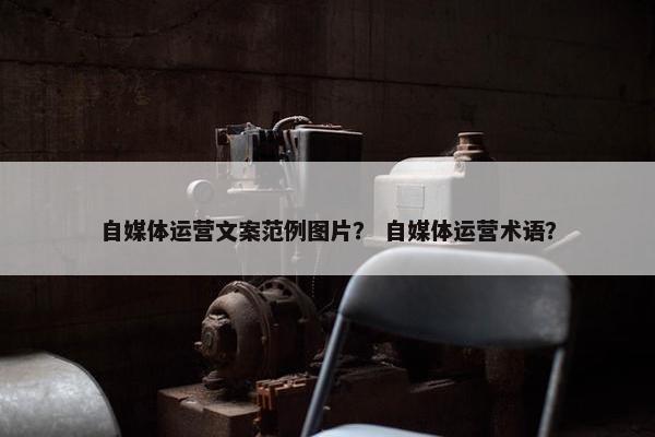 自媒体运营文案范例图片？ 自媒体运营术语？
