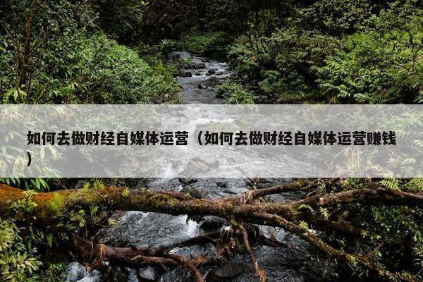 如何去做财经自媒体运营（如何去做财经自媒体运营赚钱）