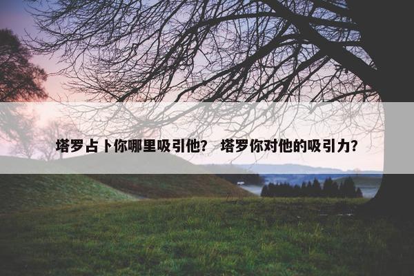 塔罗占卜你哪里吸引他？ 塔罗你对他的吸引力？