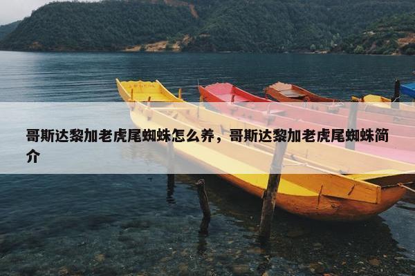哥斯达黎加老虎尾蜘蛛怎么养，哥斯达黎加老虎尾蜘蛛简介