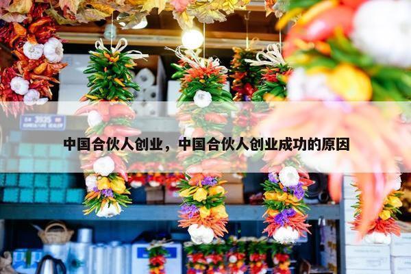 中国合伙人创业，中国合伙人创业成功的原因