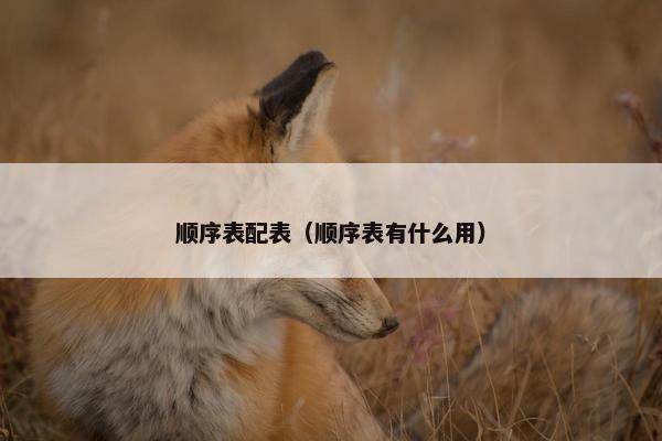顺序表配表（顺序表有什么用）