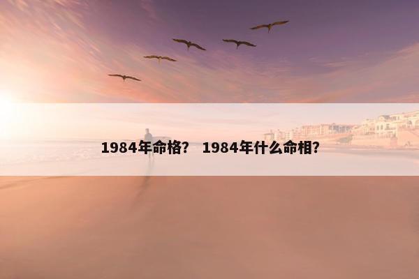 1984年命格？ 1984年什么命相？