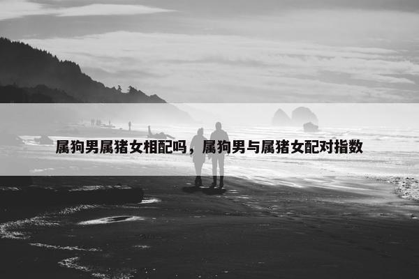 属狗男属猪女相配吗，属狗男与属猪女配对指数