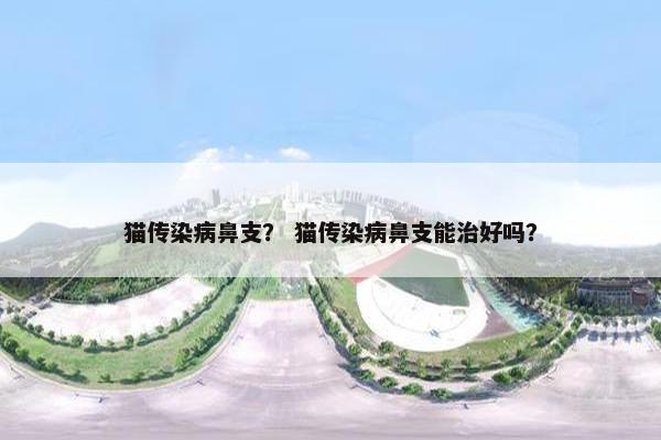 猫传染病鼻支？ 猫传染病鼻支能治好吗？