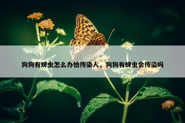 狗狗有蜱虫怎么办怕传染人，狗狗有蜱虫会传染吗