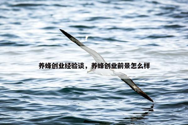 养蜂创业经验谈，养蜂创业前景怎么样