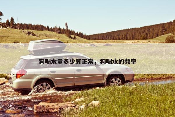 狗喝水量多少算正常，狗喝水的频率