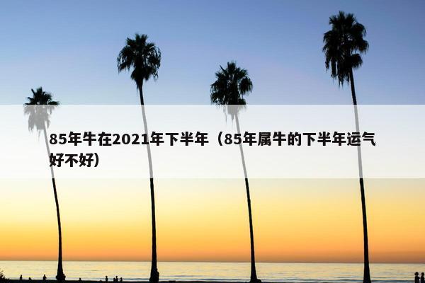 85年牛在2021年下半年（85年属牛的下半年运气好不好）