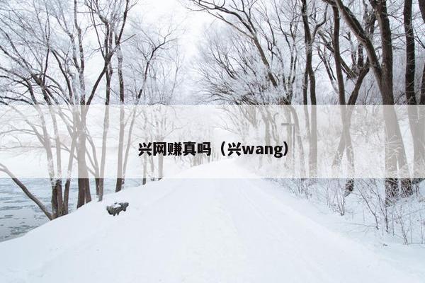 兴网赚真吗（兴wang）