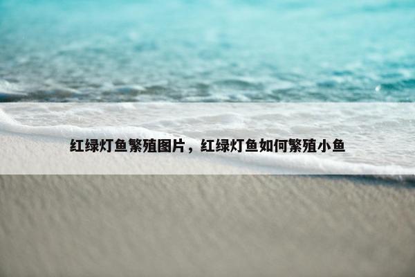 红绿灯鱼繁殖图片，红绿灯鱼如何繁殖小鱼