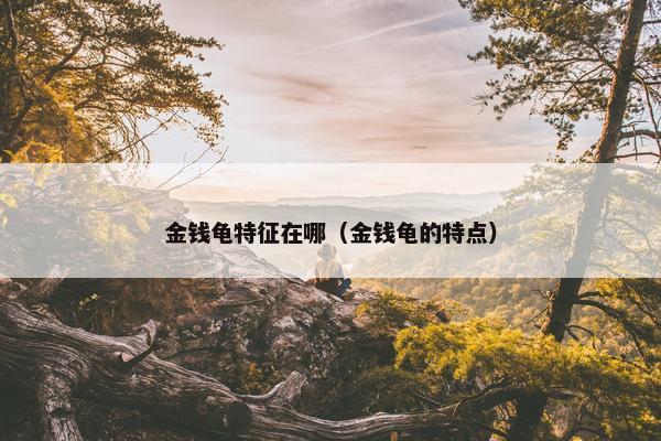 金钱龟特征在哪（金钱龟的特点）