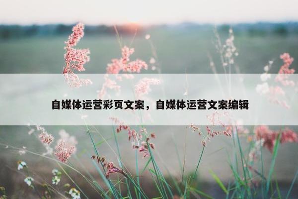 自媒体运营彩页文案，自媒体运营文案编辑