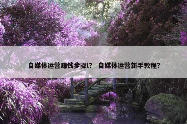 自媒体运营赚钱步骤l？ 自媒体运营新手教程？
