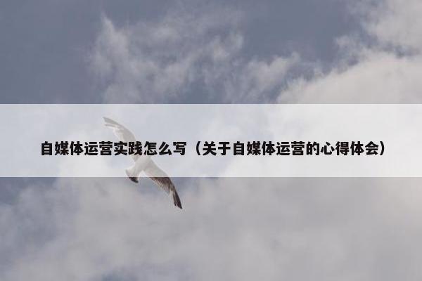 自媒体运营实践怎么写（关于自媒体运营的心得体会）