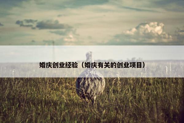 婚庆创业经验（婚庆有关的创业项目）