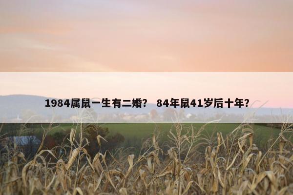1984属鼠一生有二婚？ 84年鼠41岁后十年？
