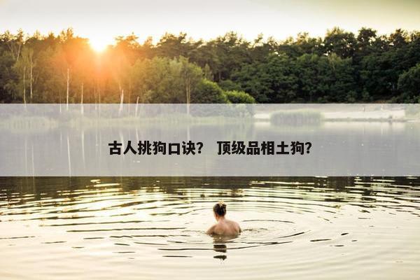 古人挑狗口诀？ 顶级品相土狗？