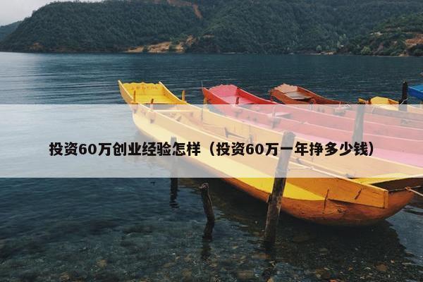 投资60万创业经验怎样（投资60万一年挣多少钱）